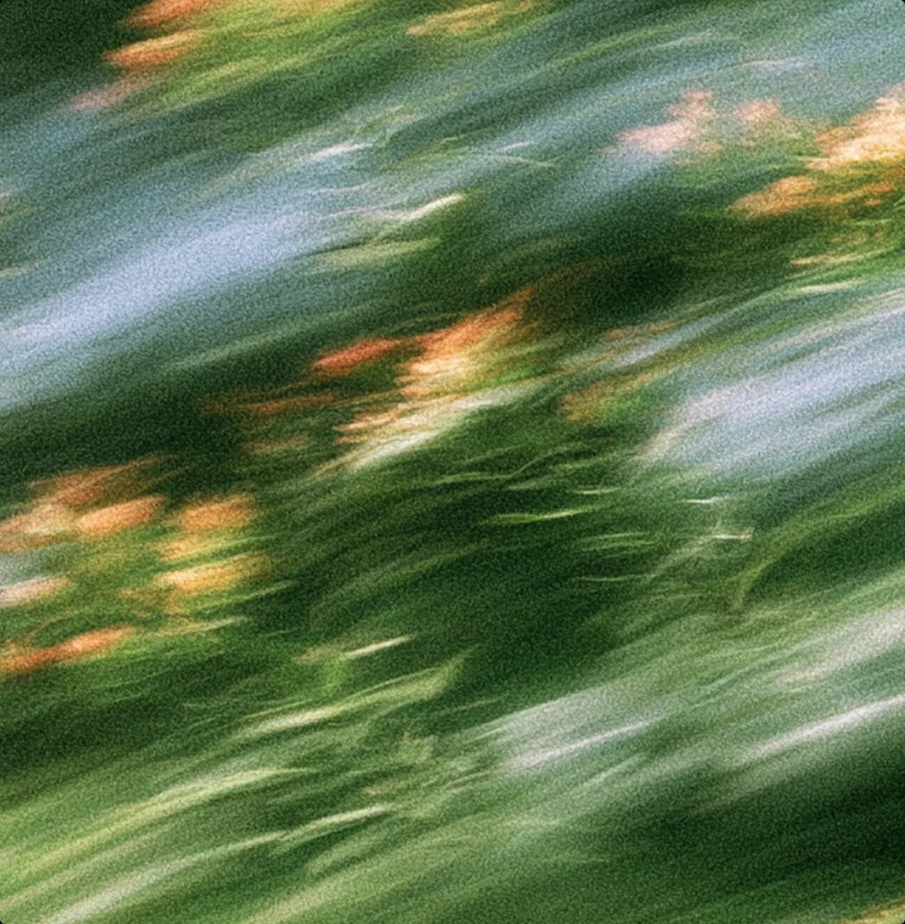 Motion-blurred meadow with wildflowers